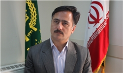 کاهش سطح زیر کشت سیبزمینی کاهش سطح زیر کشت سیبزمینی