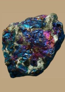 ترکیه، ارمنستان و ترکمنستان مشتر‌های فلورین مازندران