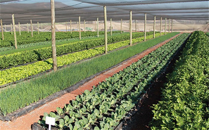 صرفه جویی 30 درصدی در مصرف آب صرفه جویی 30 درصدی در مصرف آب