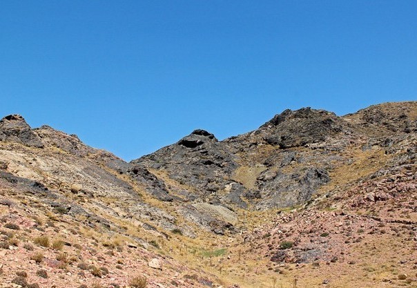 توجه به تجارت گوهر آبی؛ توسعه صادرات و مقابله با تحریم اقتصادی توجه به تجارت گوهر آبی؛ توسعه صادرات و مقابله با تحریم اقتصادی