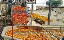 جذب اعتبارات ر درحوزه صنایع تبدیلی استان مرکزی جذب اعتبارات ر درحوزه صنایع تبدیلی استان مرکزی