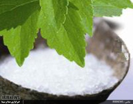 استویا، شیرین تر از شکر و پر سود اما ناشناخته