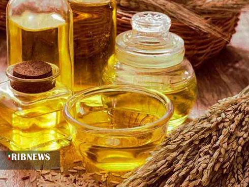 حکایت کاه ها و کوه هایی از سرمایه های نهفته