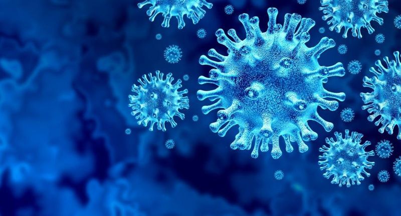 افزایش موار مرگ ومیر براثر کرونا