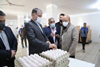 توسعه کشت گیاهان دارویی، گلخانه ها و دامپروری اولویت‌های وزارت جهاد کشاورزی در یزد