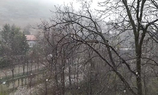 بارش برف بهاری در کلاردشت