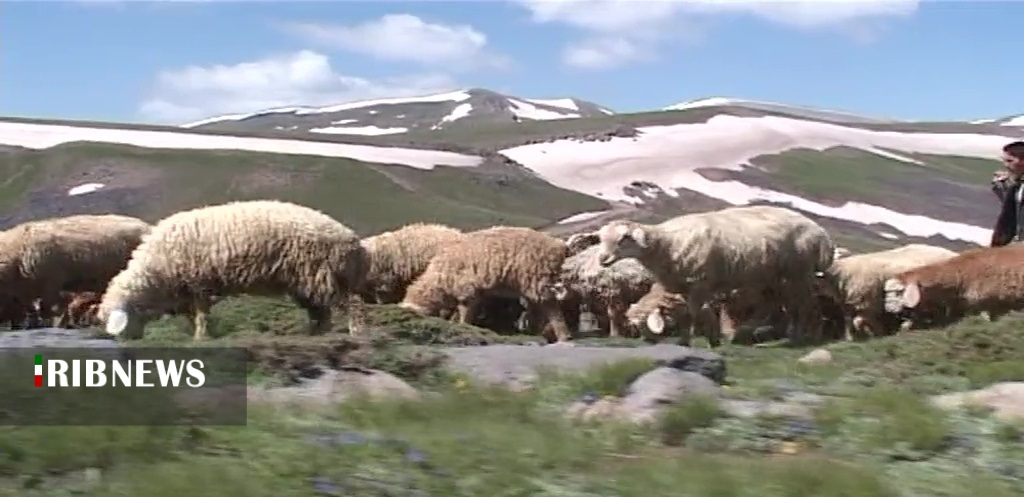 خسارت ۵۰۰ میلیاردی سرما و خشکسالی به عشایر