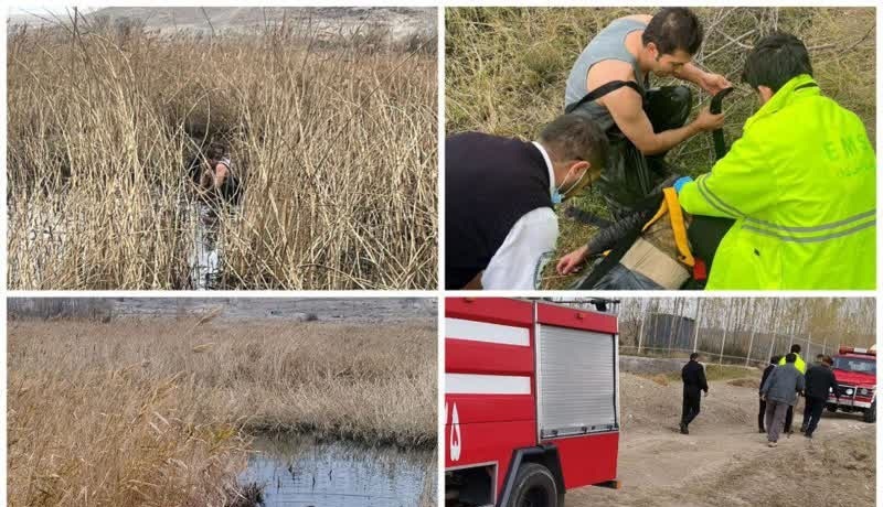 آتش نشانان اردبیلی شخص گرفتار شده در باتلاق را نجات دادند