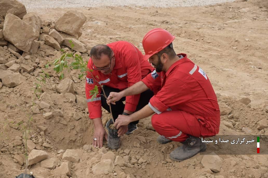 کاشت ۲۰۰ اصله نهال در موقعیت عملیاتی میدان نفتی اهواز 