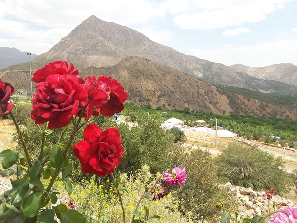 تعطیلی دو روزه مناطق گردشگری کلات