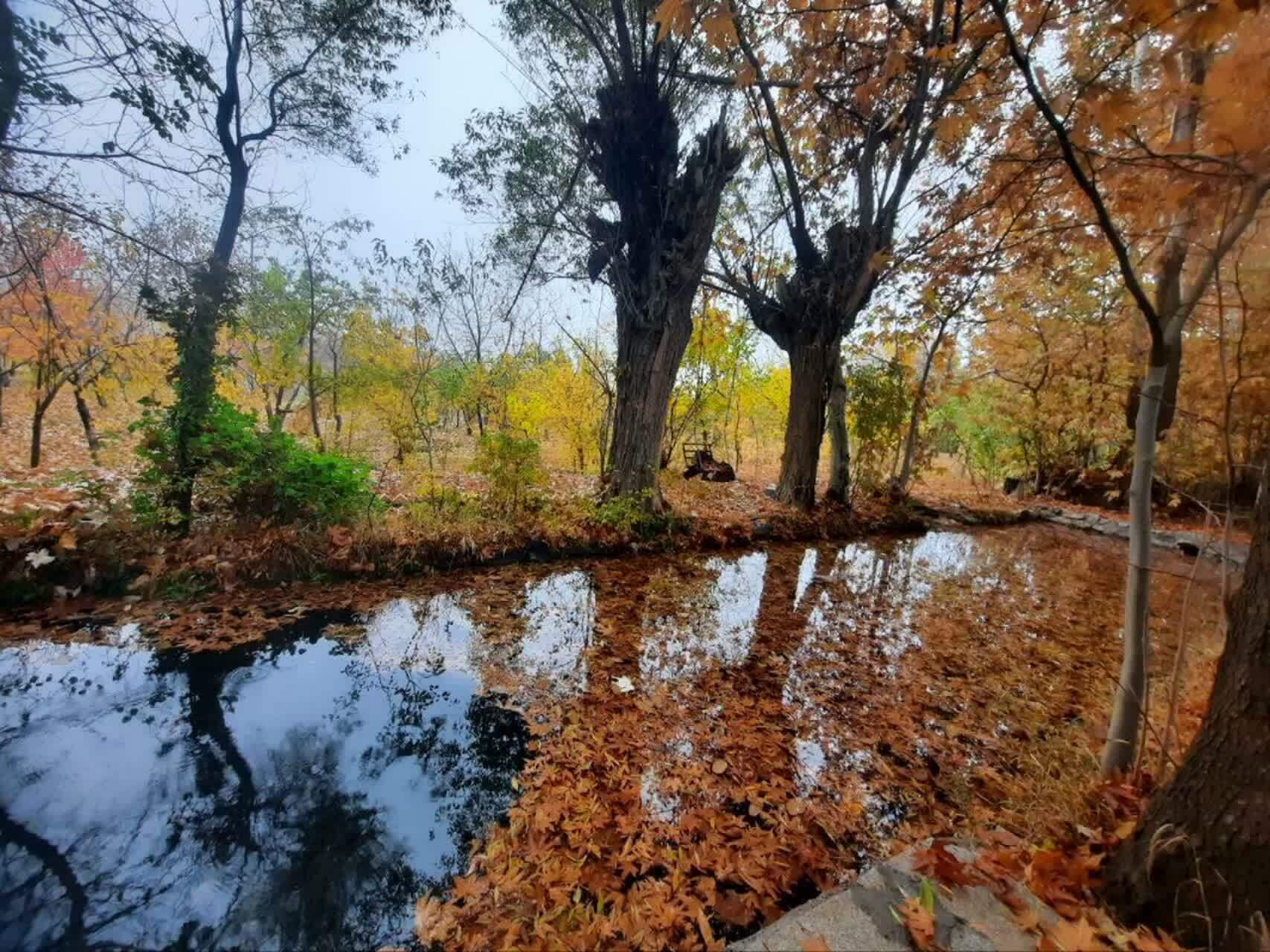 برگزاری رویداد عکاسی «پاییز هزار رنگ» در نطنز