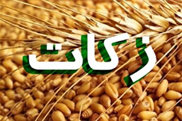 با اشتغال زایی، نیازمندان بی نیاز می‌شوند