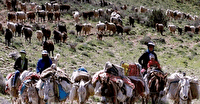 استقرار عشایر کوچ رو شهرستان‌های شمال آذربایجان غربی در ییلاقات چالدران