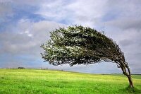 پیش بینی وزش باد گاهی شدید در آذربایجان غربی