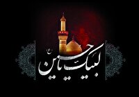 اَلسَّلامُ على اَسیرِ الْکُرُباتِ وَ قَتیلِ الْعَبَراتِ