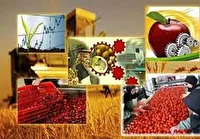 فرآوری ۹۰ هزار تن محصولات خراسان جنوبی از ابتدای سال