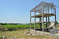 شناسایی ۱۹ مورد تغییر کاربری غیرمجاز در اراضی کشاورزی خوزستان