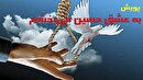 آزادی ۴۰ زندانی لرستانی در پویش «به عشق امام حسین (ع) می‌بخشم»
