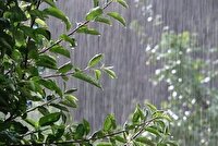پیش بینی رگبار باران در نیمی از مناطق کشور