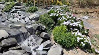 نمایی زیبا از قنات صد ساله کوهساران طرقبه