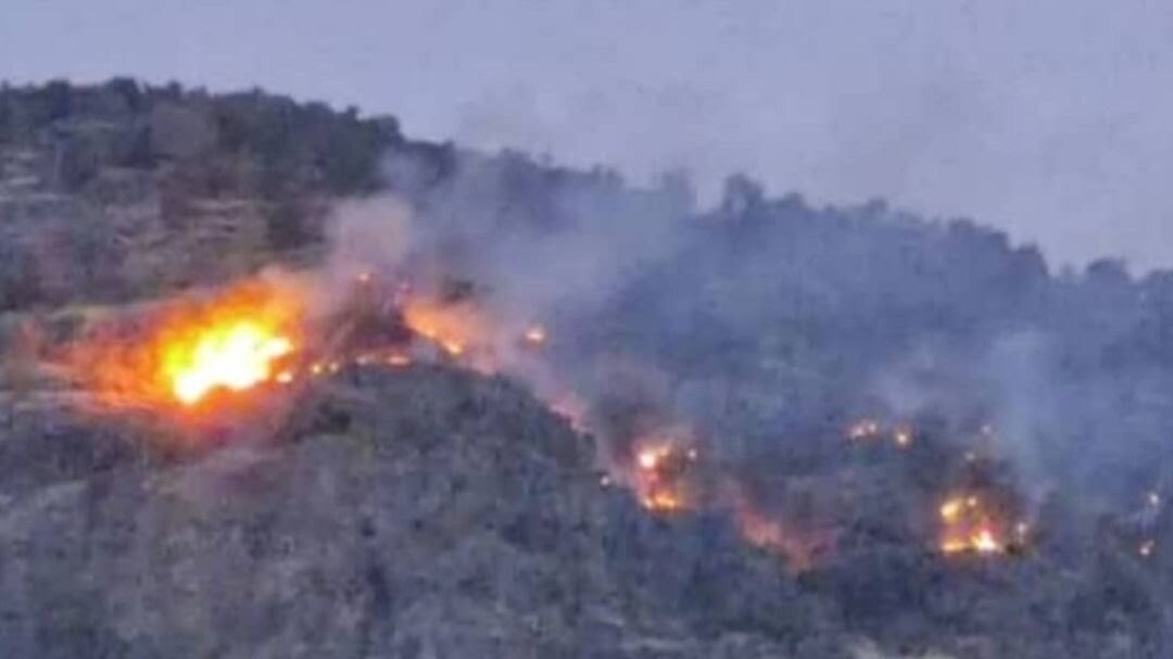 آتش سوزی باشت هنوز مهار نشده