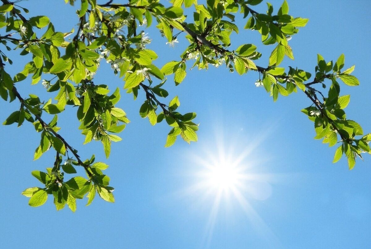 افزایش دو درجه‌ای دمای هوا در همدان