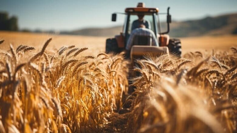 وزیر جهاد کشاورزی از تسویه کامل مطالبات گندمکاران خبر داد وزیر جهاد کشاورزی از تسویه کامل مطالبات گندمکاران خبر داد