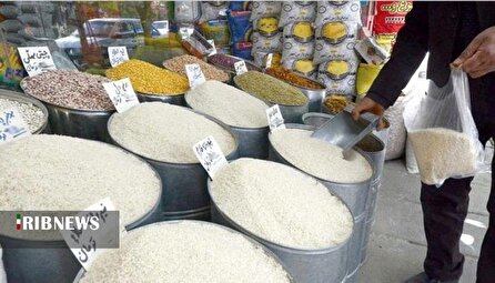 بی ثباتی قیمت برنج