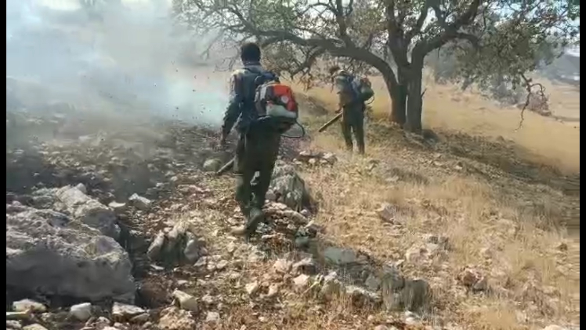 مهار آتشسوزی در کوههای خان یک روستای گلگون مهار آتشسوزی در کوههای خان یک روستای گلگون