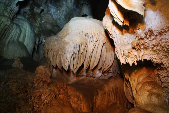 تعطیلی موقت غارنوردی در آذربایجانغربی همزمان با آغاز خواب زمستانی خفاشها تعطیلی موقت غارنوردی در آذربایجانغربی همزمان با آغاز خواب زمستانی خفاشها