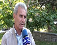 تعطیلی دو هفتهای میادین دواب مهاباد