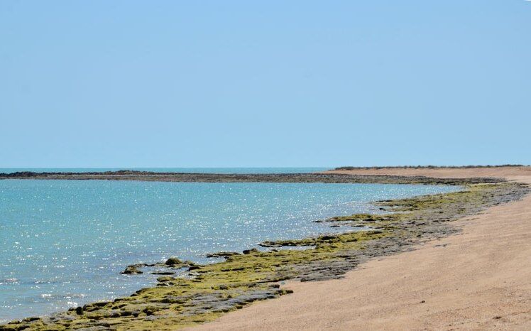 خارگو جزیره گردشگری شد خارگو جزیره گردشگری شد