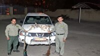 دستگیری شکارچیان غیرمجاز در مراغه