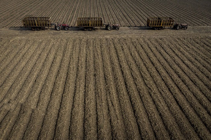خاک سالم برای شهر و روستای سالم