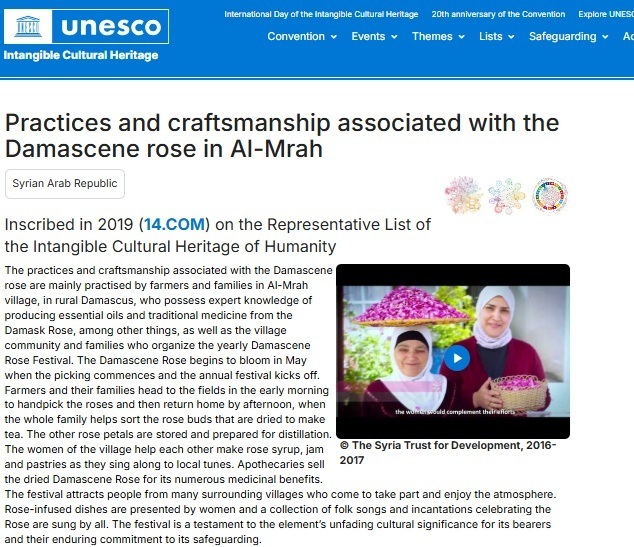 گل محمدی؛ موهبتی فراتر از عکس روی اسکناس