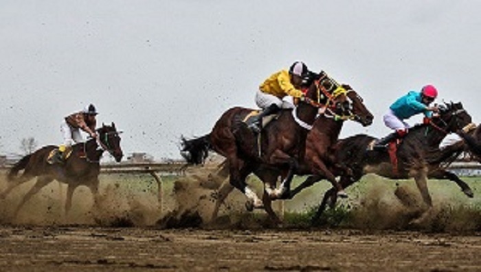 معرفی نفرات برتر روز سوم رقابت های سومین هفته کورس پائیزه گنبدکاووس معرفی نفرات برتر روز سوم رقابت های سومین هفته کورس پائیزه گنبدکاووس